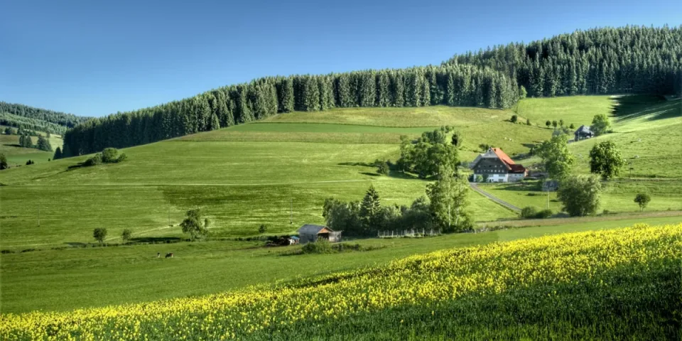 Noclegi nad Bałtykiem bez niespodzianek: jak wybrać pensjonat/ apartament przy plaży, które okolice są najlepsze i na co uważać w sezonie? Ranking dzielnic i budżetów.
