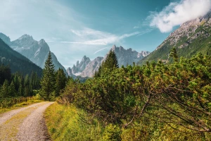 Klimatyzacja nie jest już zbędnym luksusem