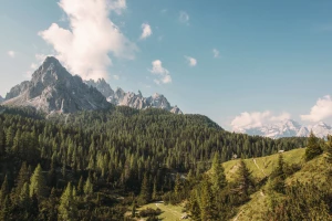 Serwis klimatyzacji - co warto wiedzieć?